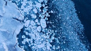 uploaded image gupta imparatorlugu ve hindistanin altin cagi 1695326229730