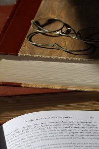 uploaded image leonardo da vincinin yasami 1695326754424