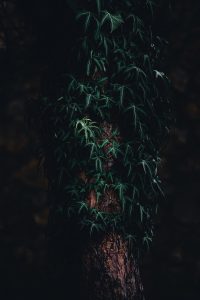 uploaded image makedon imparatorlugu ve buyuk iskender 1695326232213