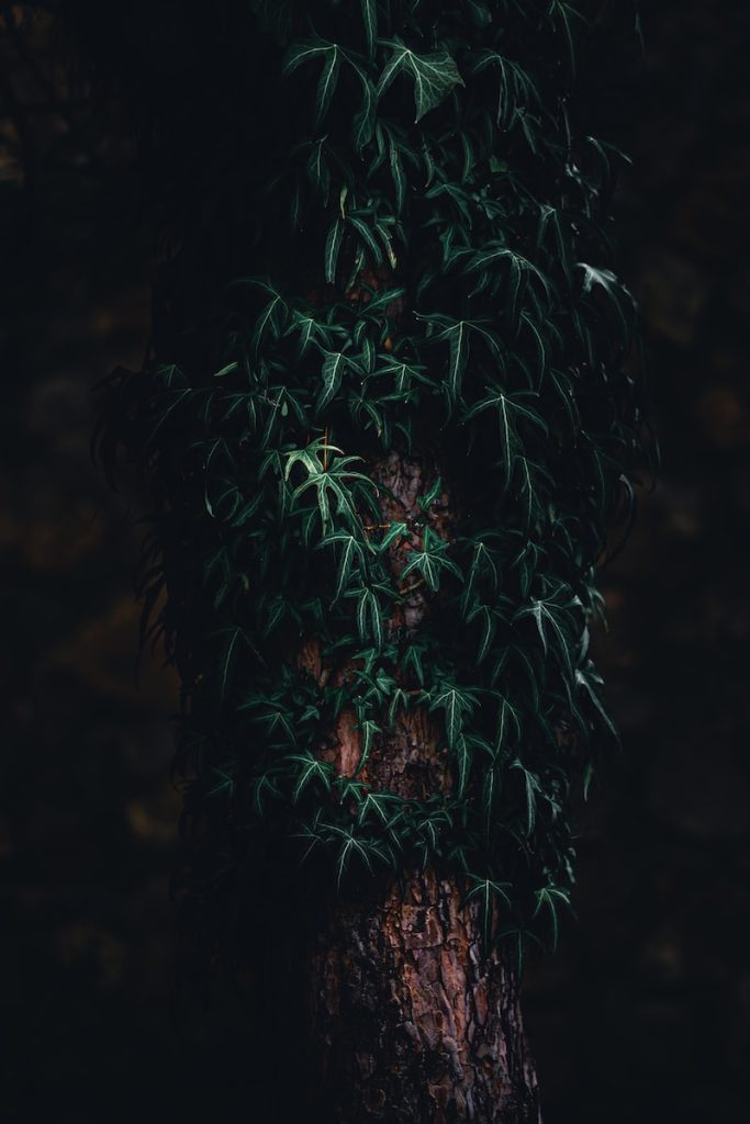 uploaded image makedon imparatorlugu ve buyuk iskender 1695326232213