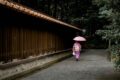 Meiji Restorasyonu ve Japonya’nın Modernleşmesi